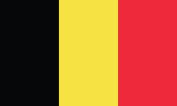 Dywany belgijskie